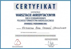 certyfikat-2017